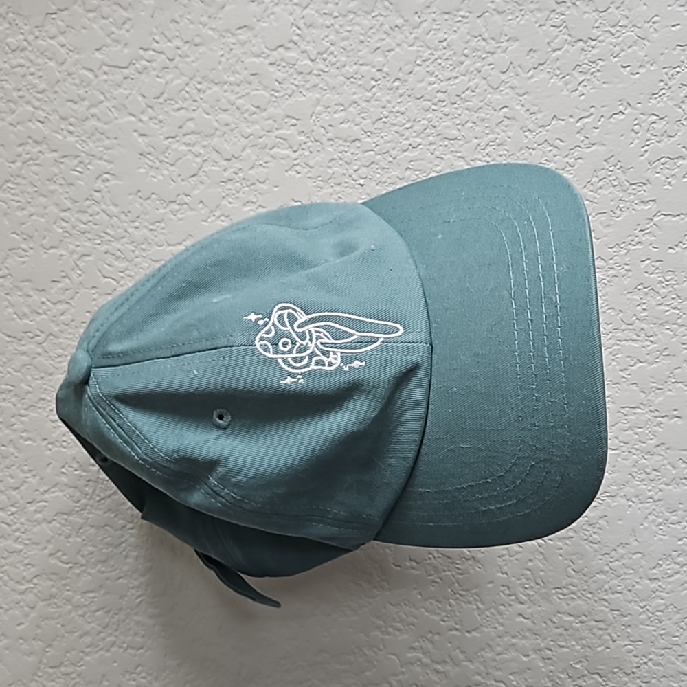 Teal Mushroom Embroidered Hat